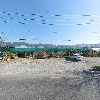 푸른 분재원