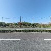 푸른 분재원_3