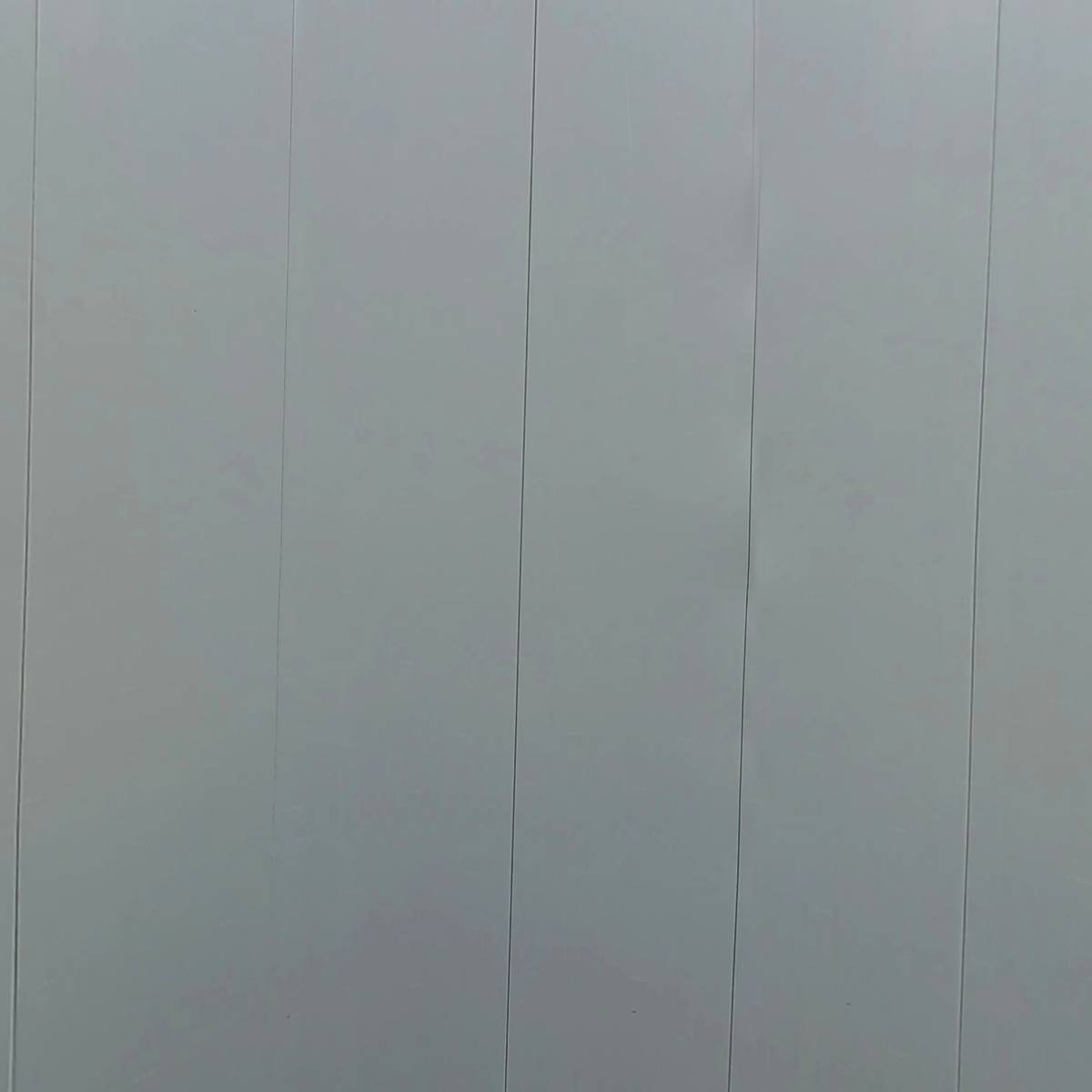 여성크로커다일_3