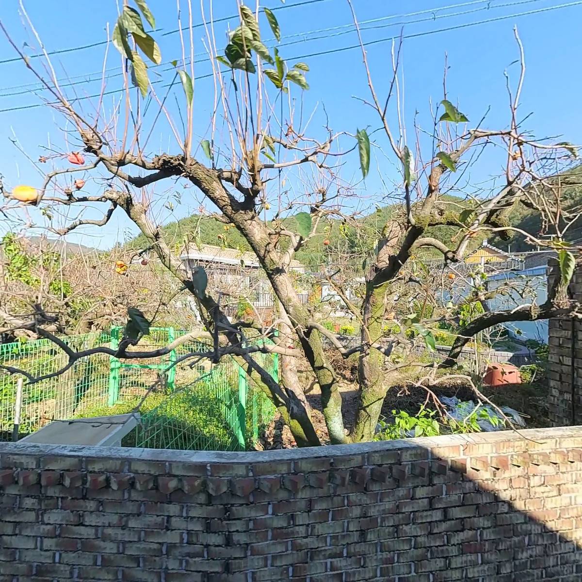 삼성화재우리대리점_3
