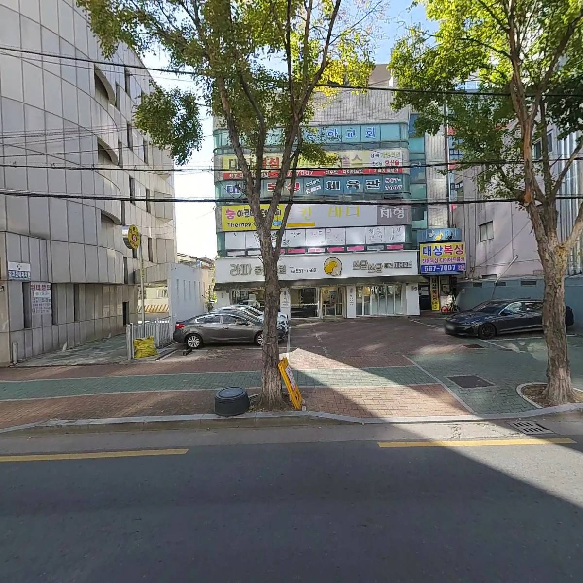 라파동물병원