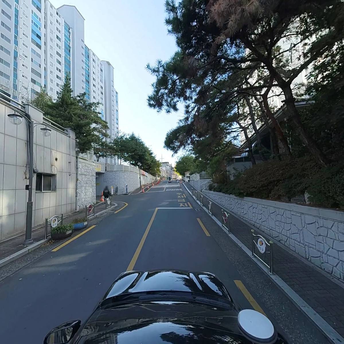 오가닉 오차드_4