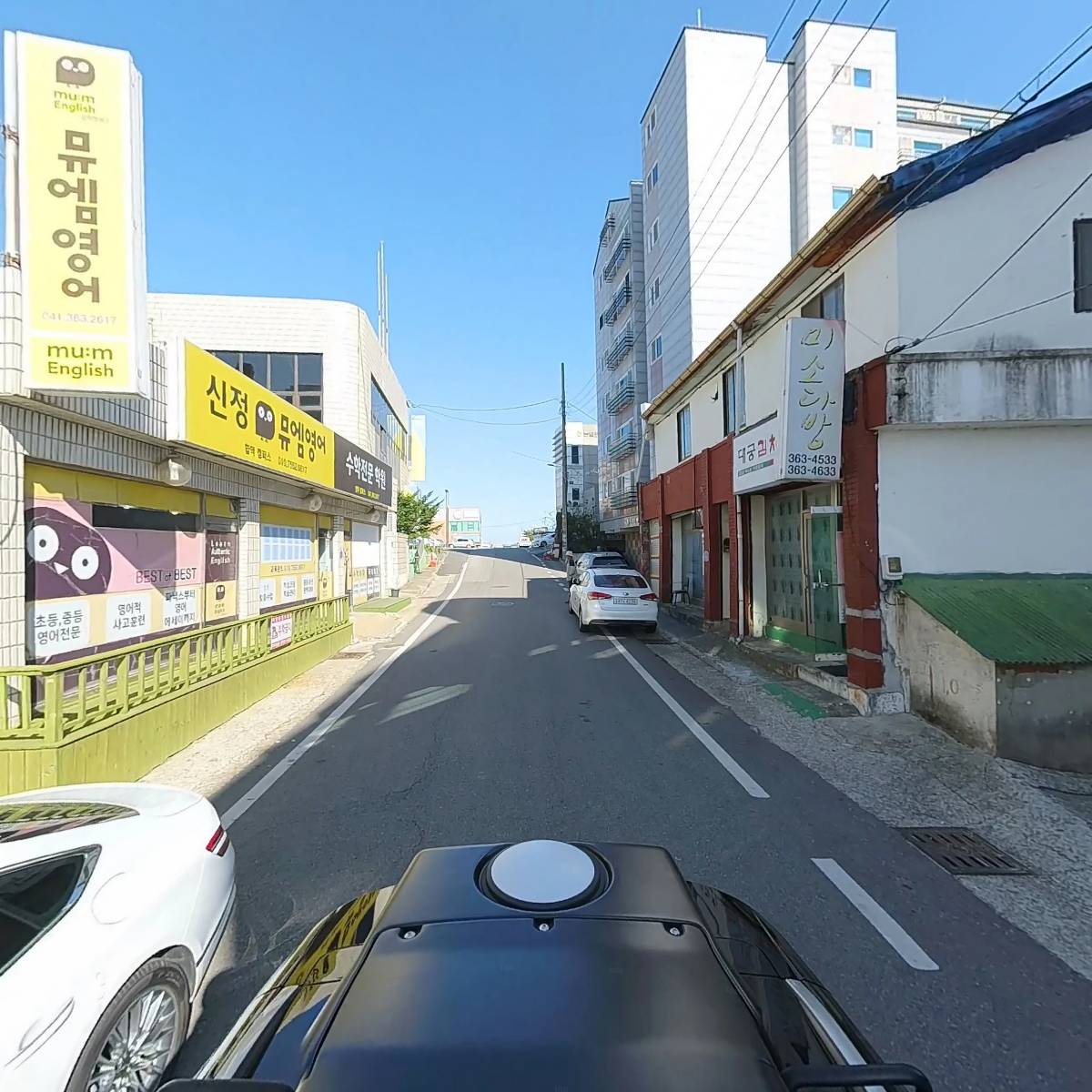 장수장어_2