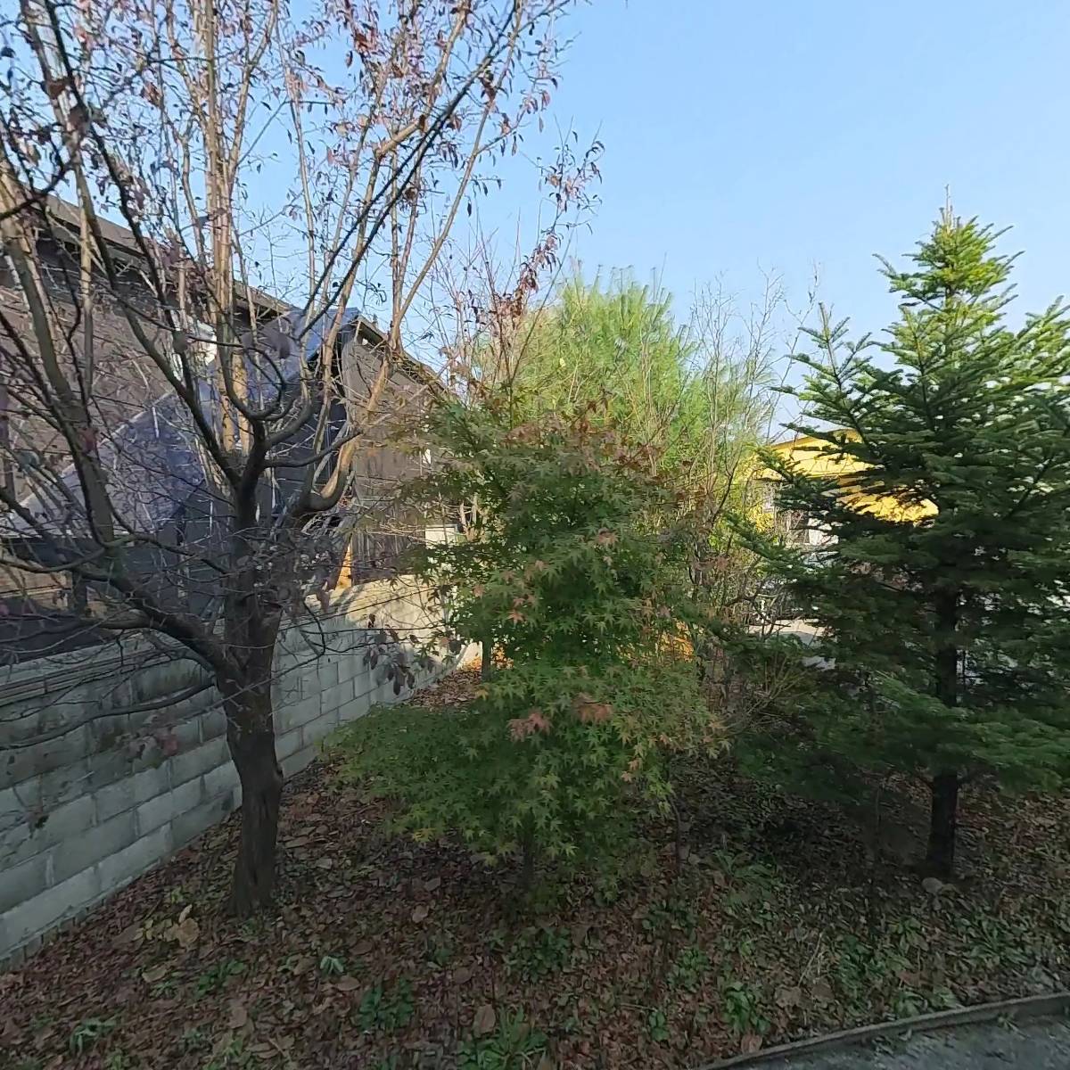 나이테_3