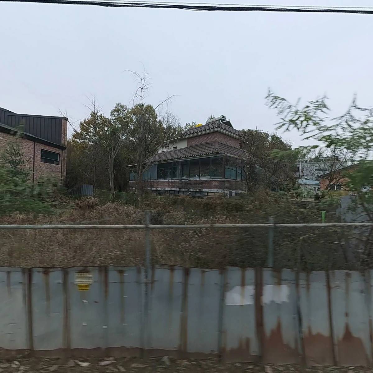 밤나무 골