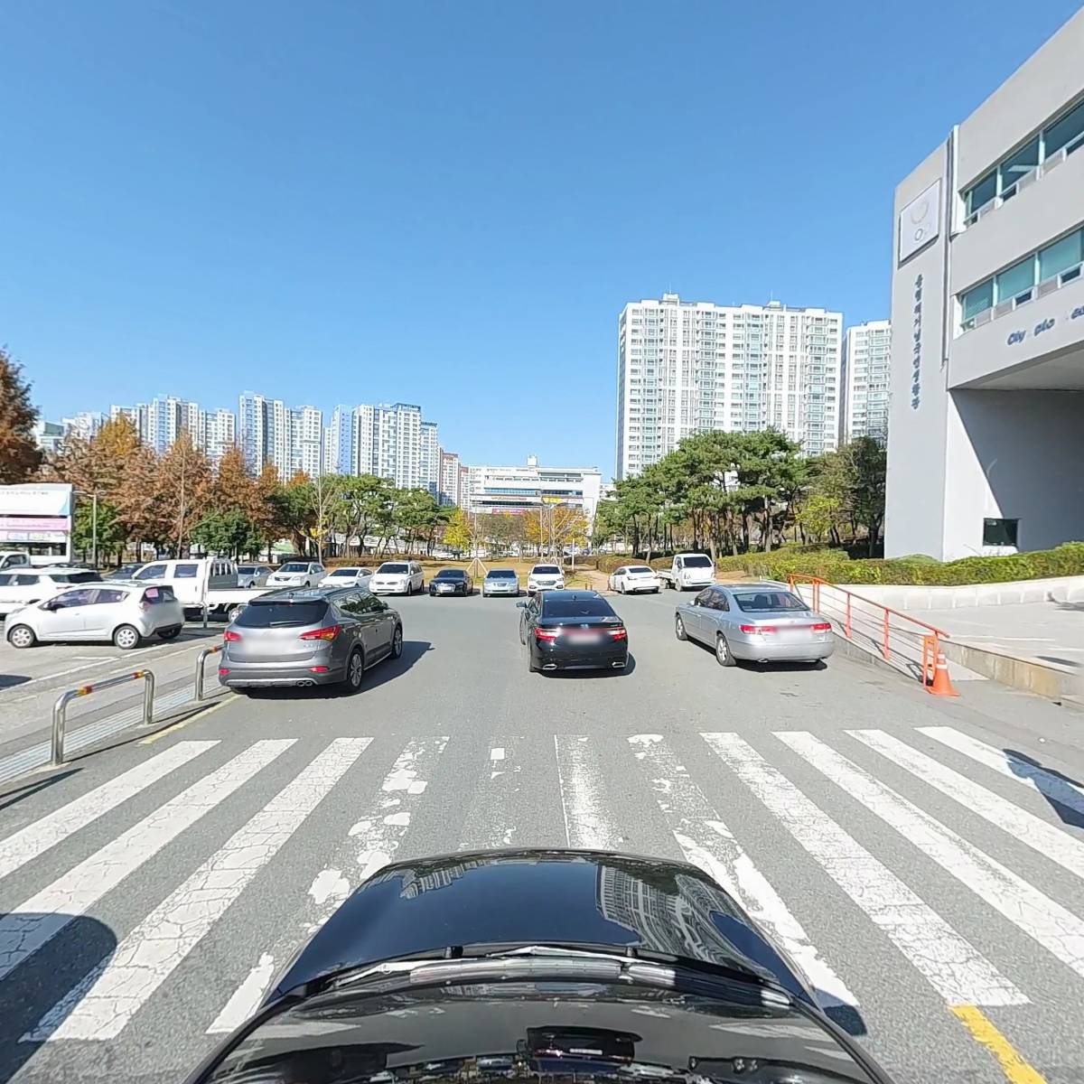 광주광역시장애인체육회상조회_4