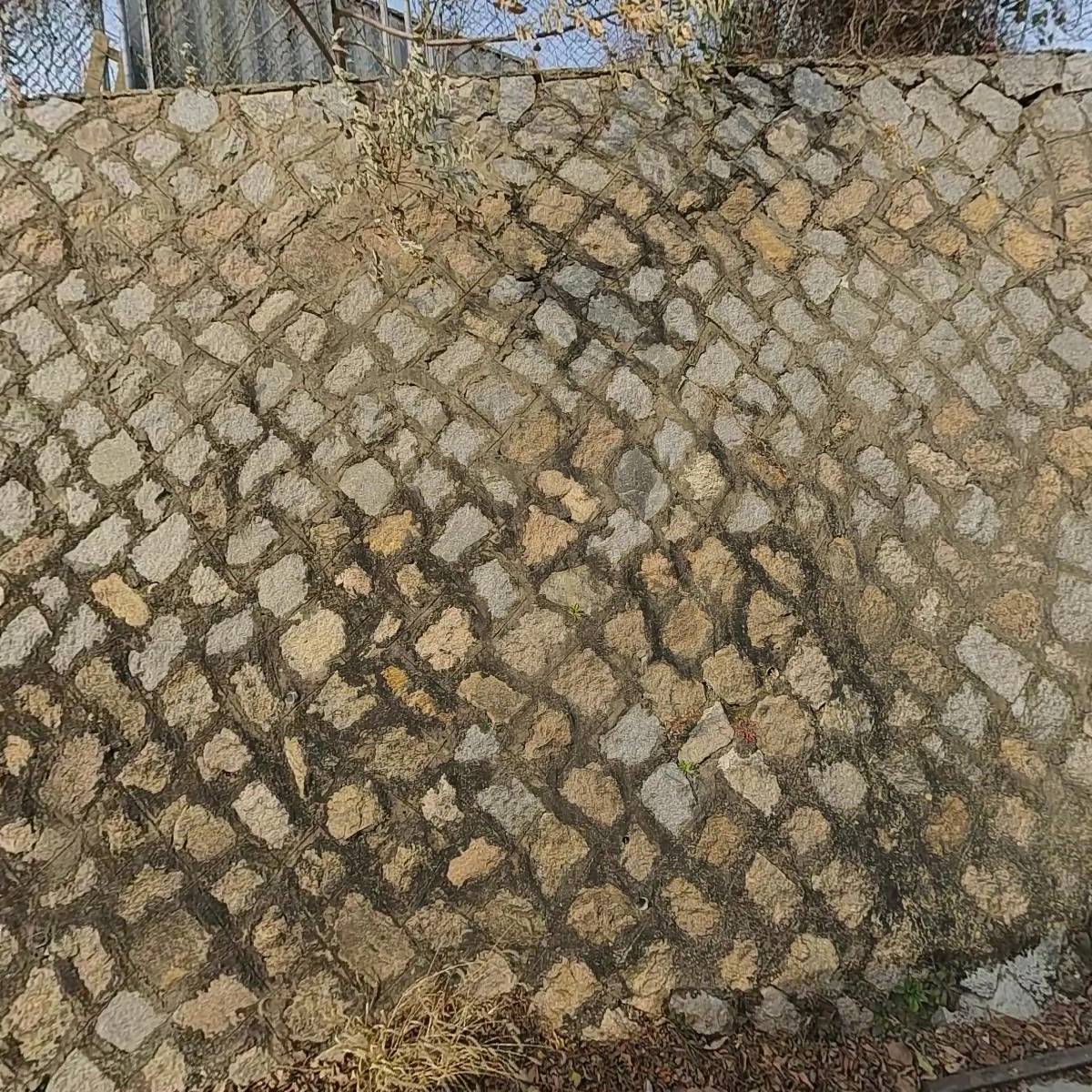 오픈볼트