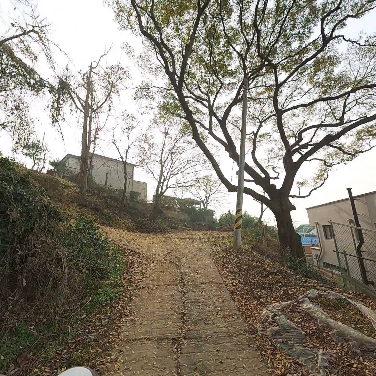 주식회사 세이아트코리아_2