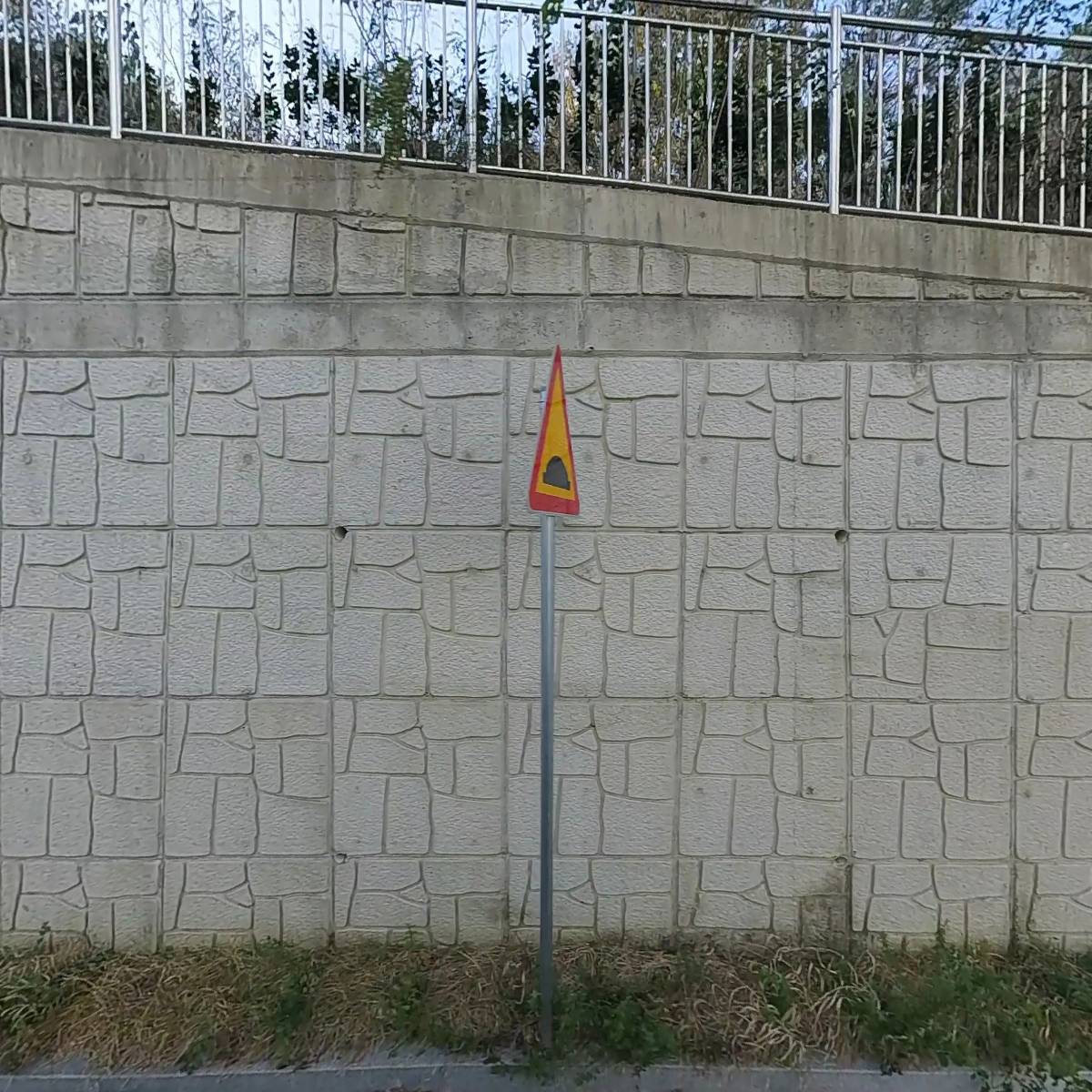 아라리오