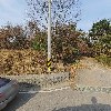 그린그라스
