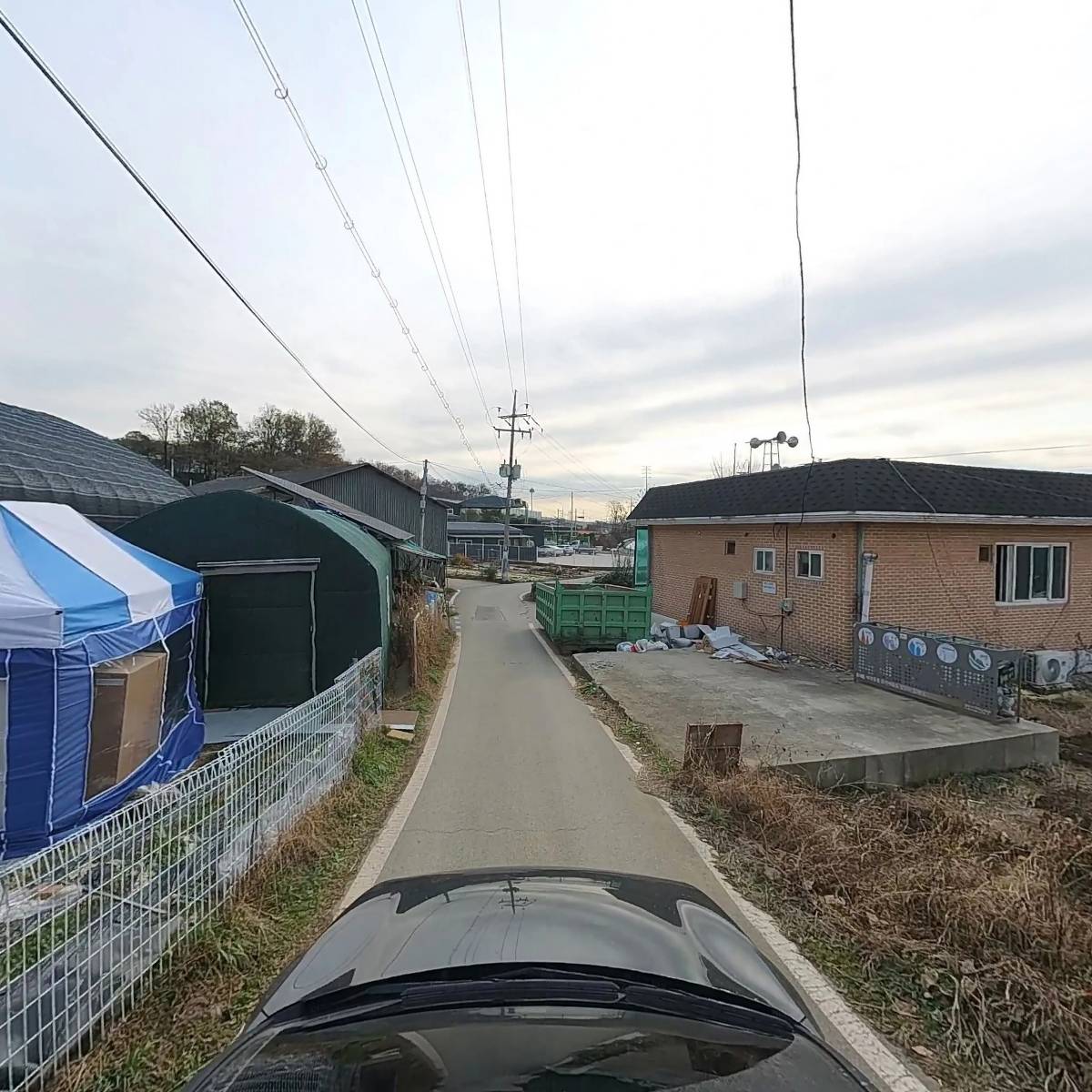 알로한_4