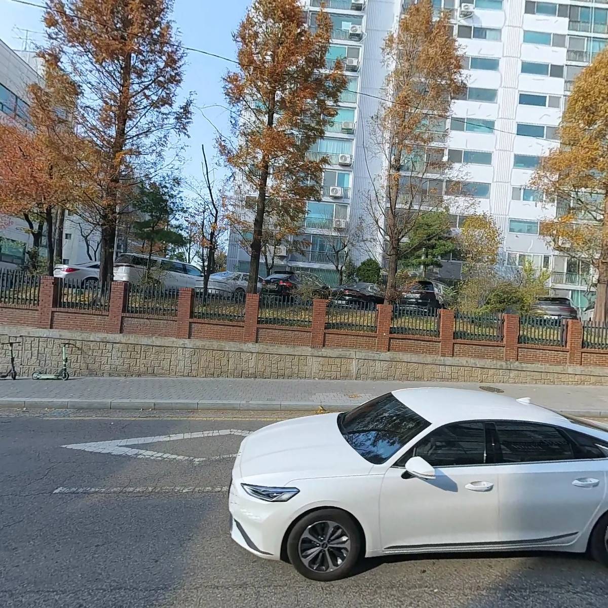 나랑노랑_3