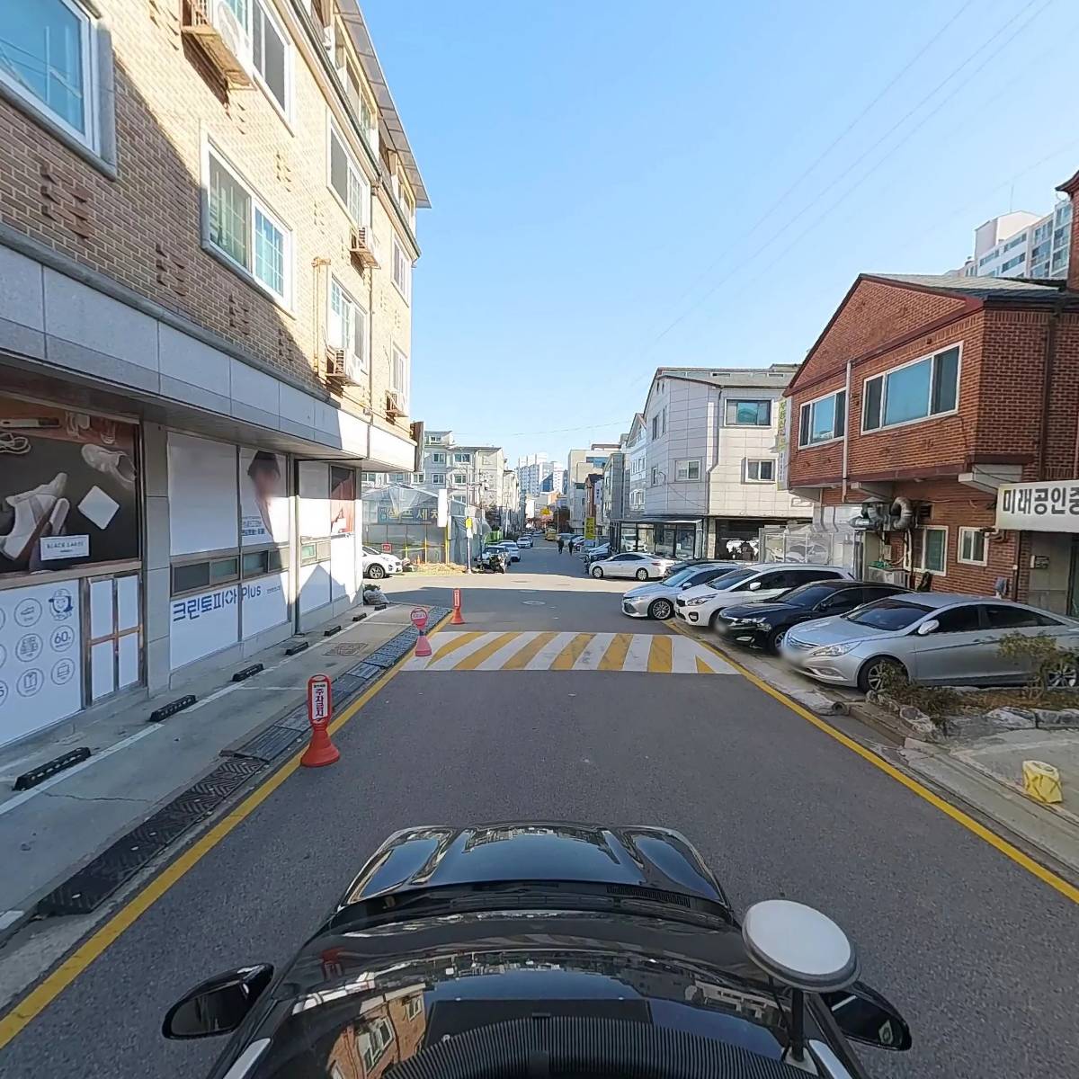 에버그린코리아_4
