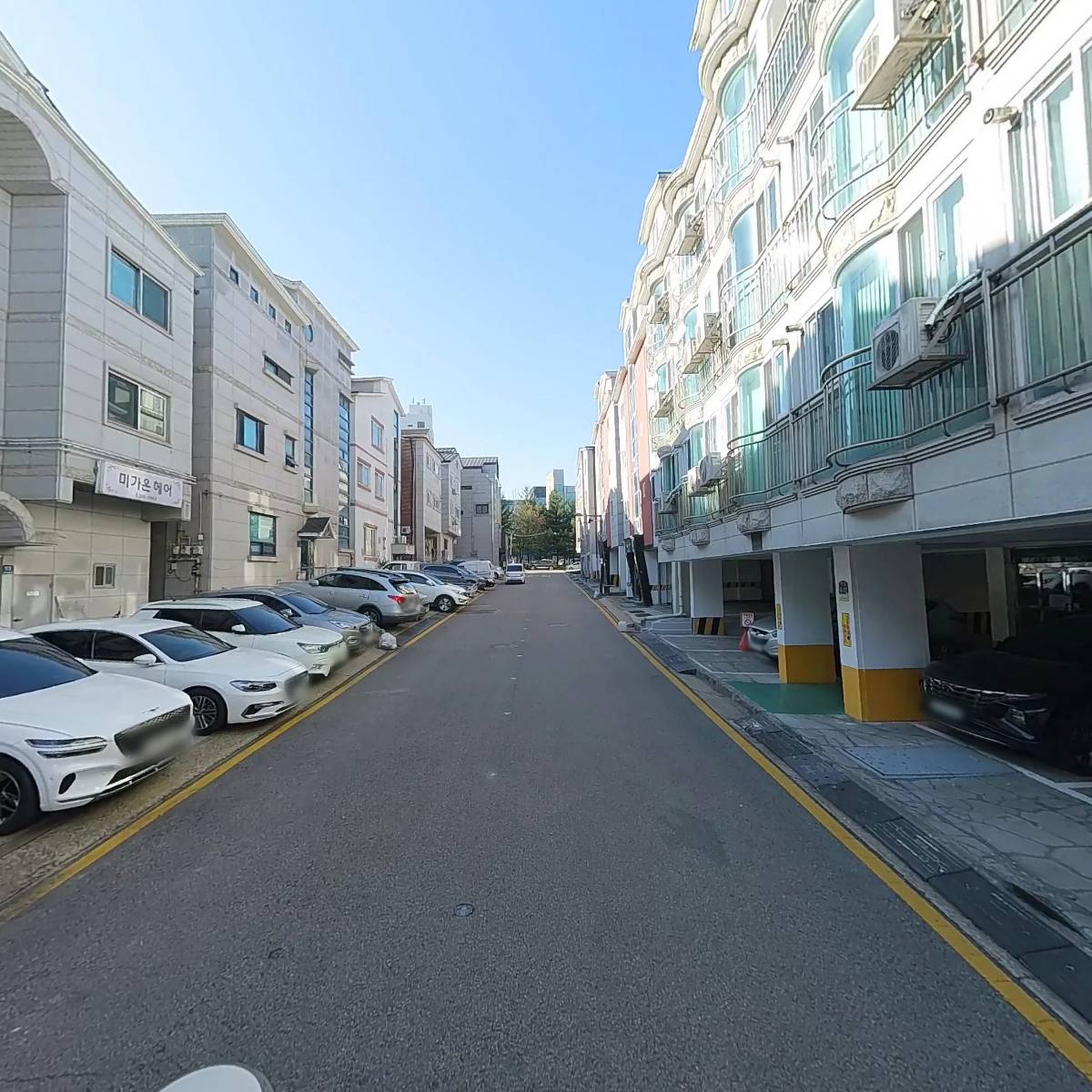 에버그린코리아_2