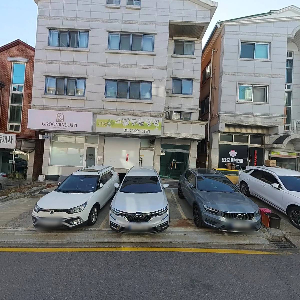 에버그린코리아