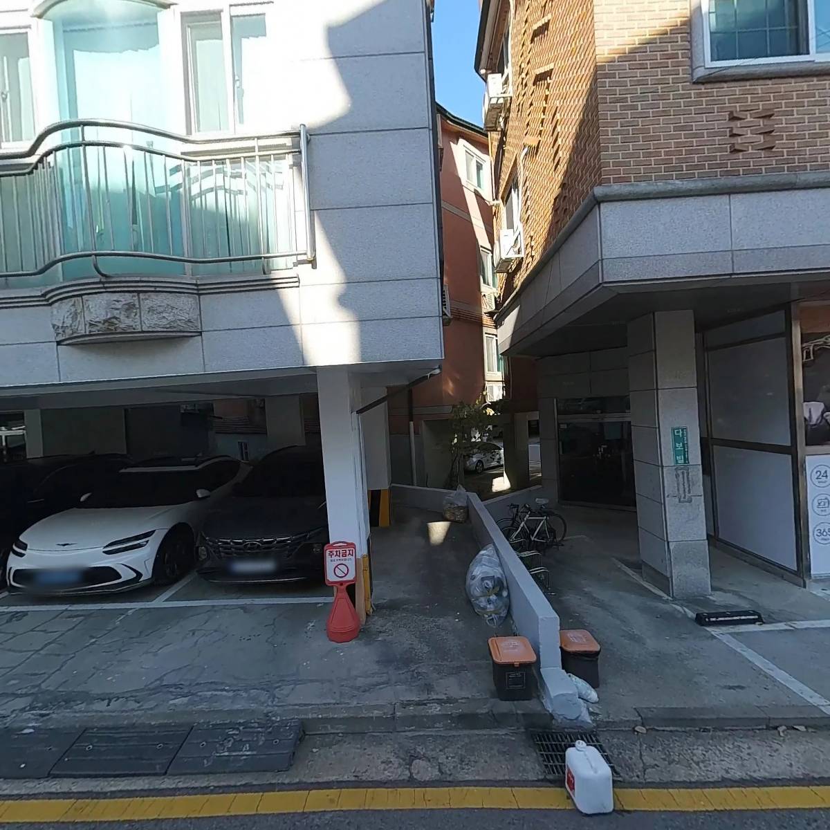 에버그린코리아_3