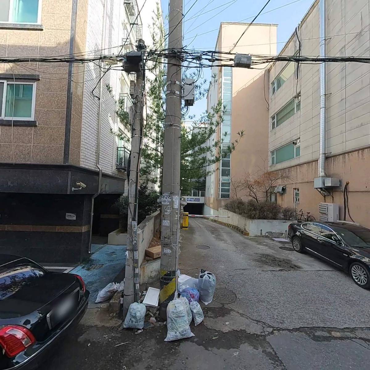 실루엣츠