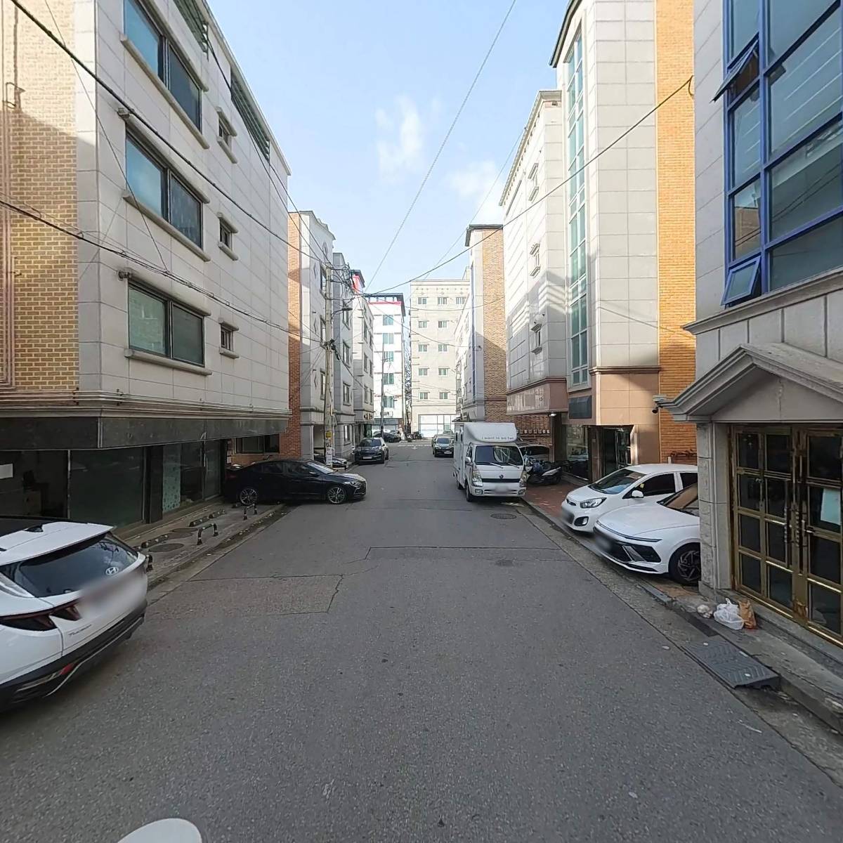 인터내셔널 래빗_2