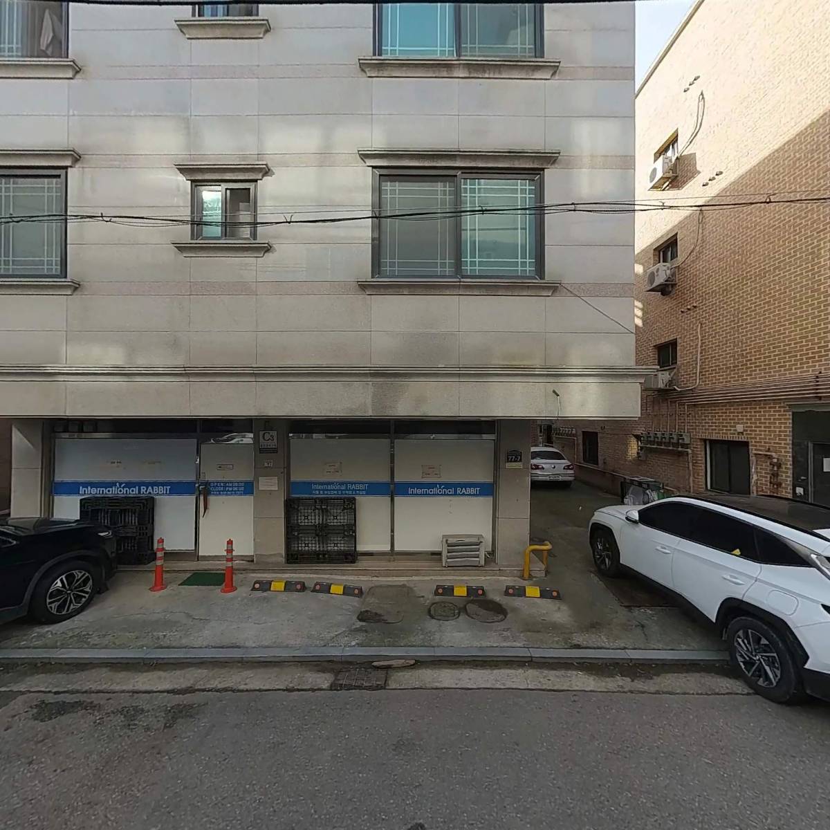 인터내셔널 래빗
