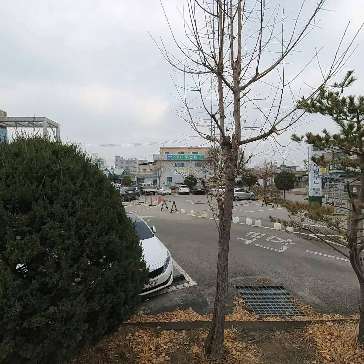 태능오리유통