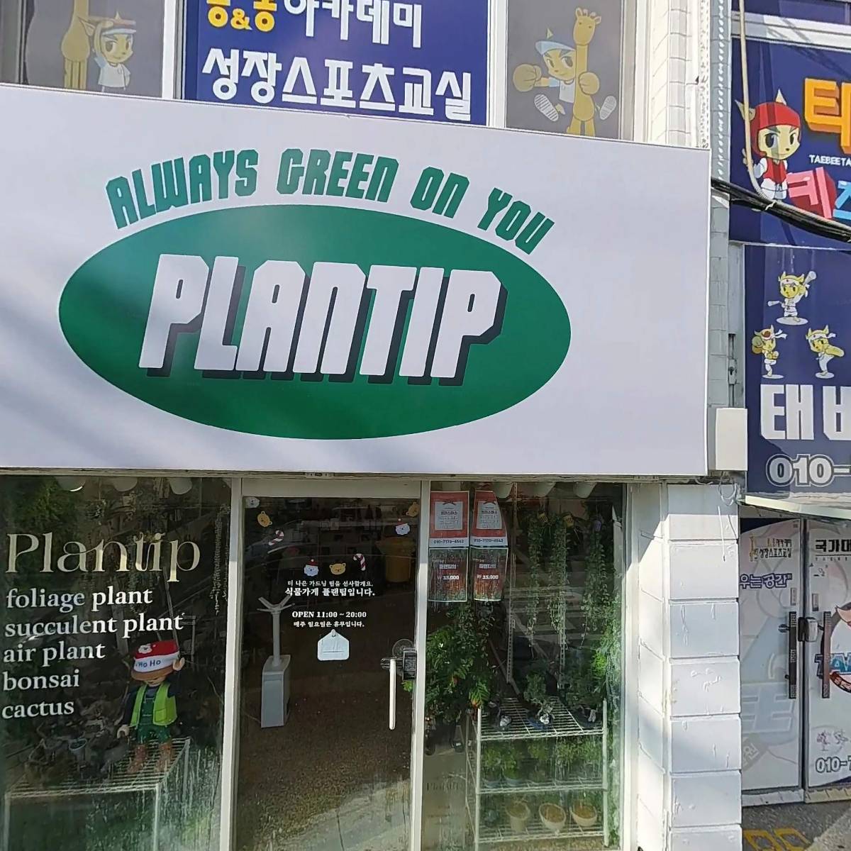 힙플랜츠