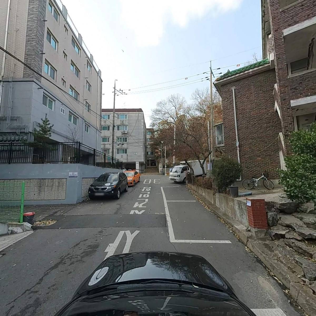 샤방한체리펫_4