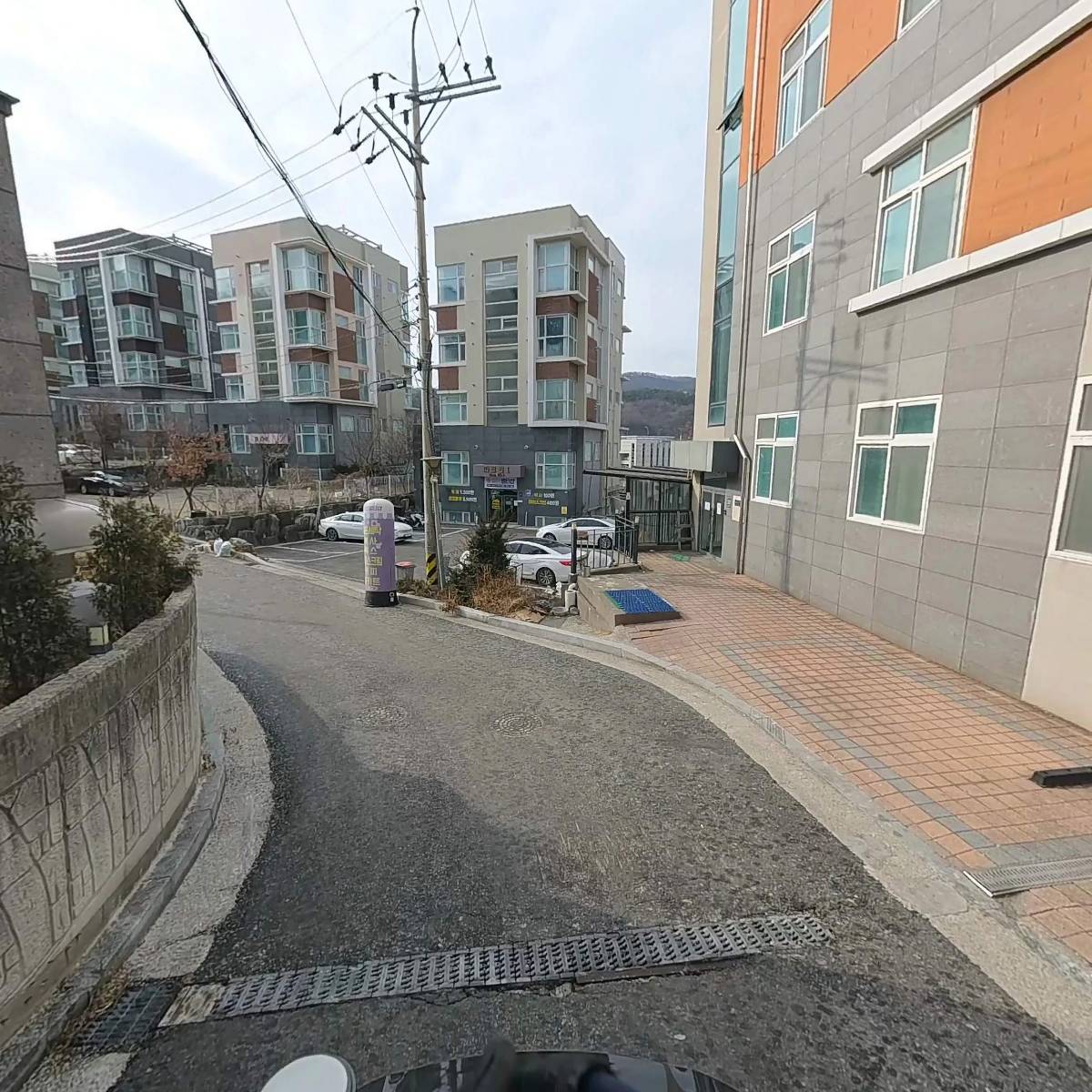 와이엘_2
