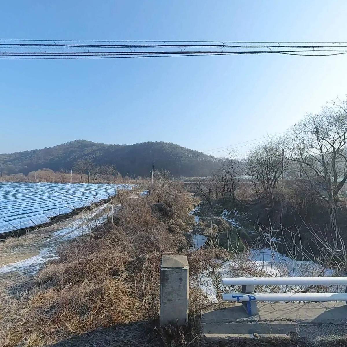 조용석고려산삼영농조합법인