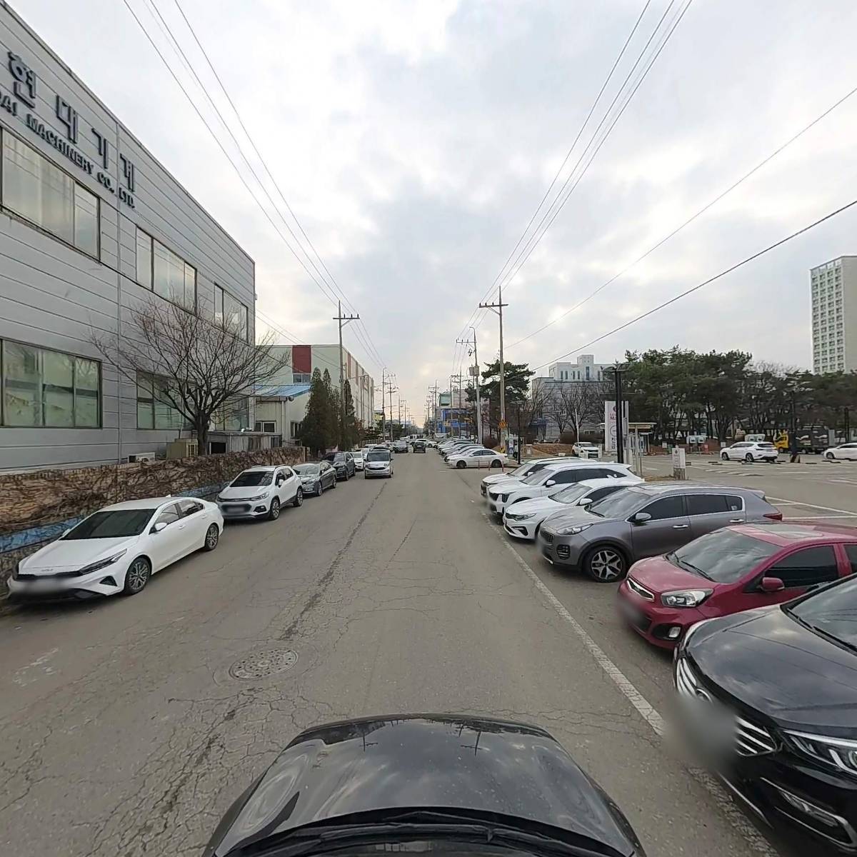 로뎀나무수제돈까스한식뷔페롯데마트시화점_4