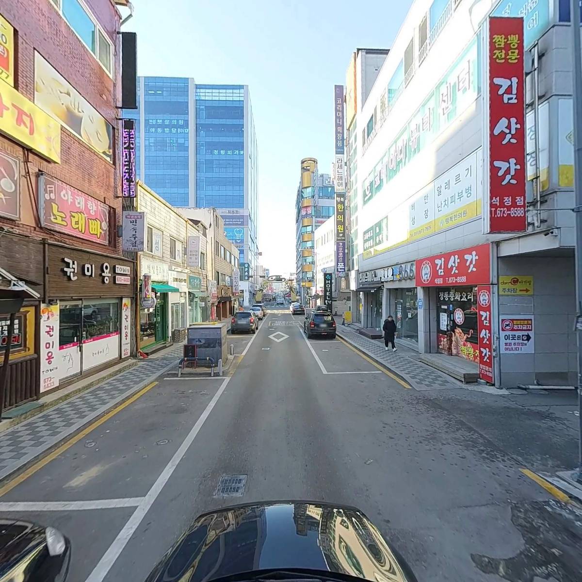 하늘담쟁이_4