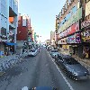 하늘담쟁이_2