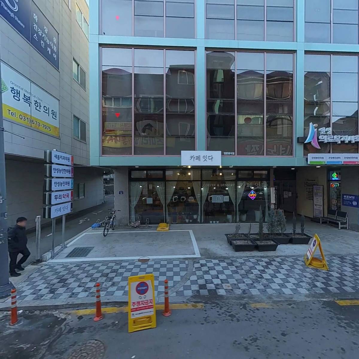 하늘담쟁이