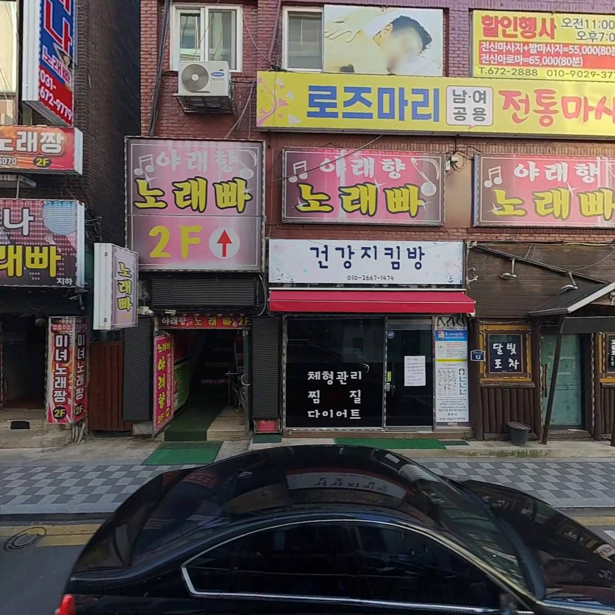 하늘담쟁이_3