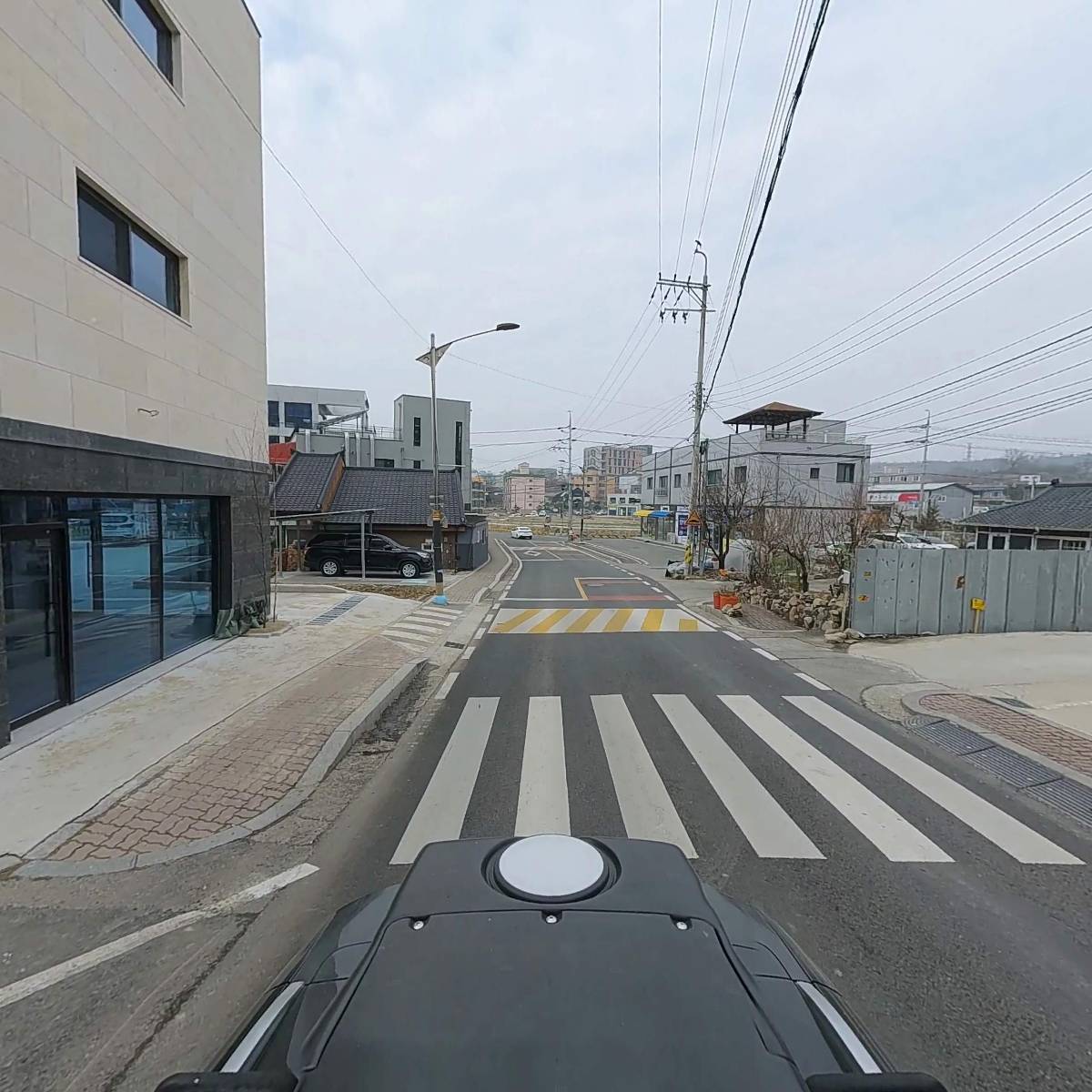 레굴루스(Regulus)_2